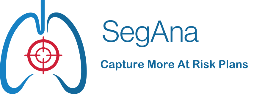 SegAna-Logo-Side